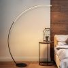 RGBW Modern Curve Floor Lamp | New Version