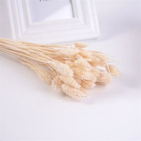 Dried Flowers Pampas Grass Mixed Bunny Rabbit Tail Lagurus Bouquet Wedding Christmas Decoration Natural Reed Flower Home Decora (Color: Gem white)