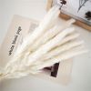 Dried Flowers Pampas Grass Mixed Bunny Rabbit Tail Lagurus Bouquet Wedding Christmas Decoration Natural Reed Flower Home Decora